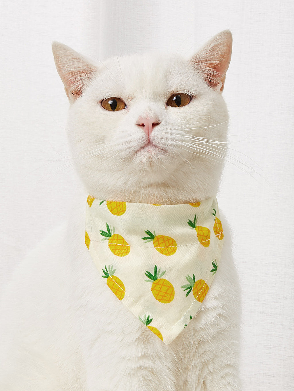 Cartoon Print Triangle Bandana Bib