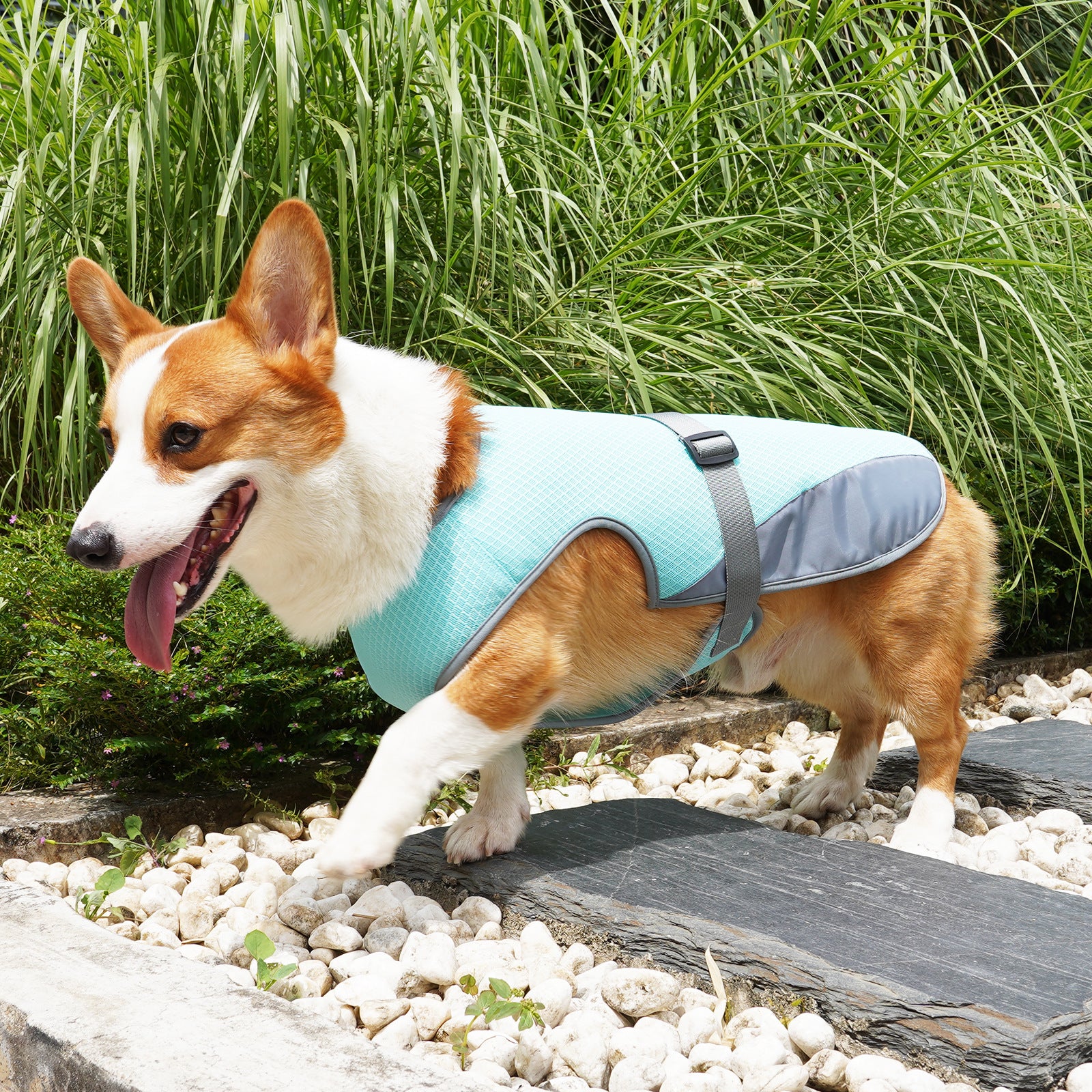 Cooling Vest for Dogs