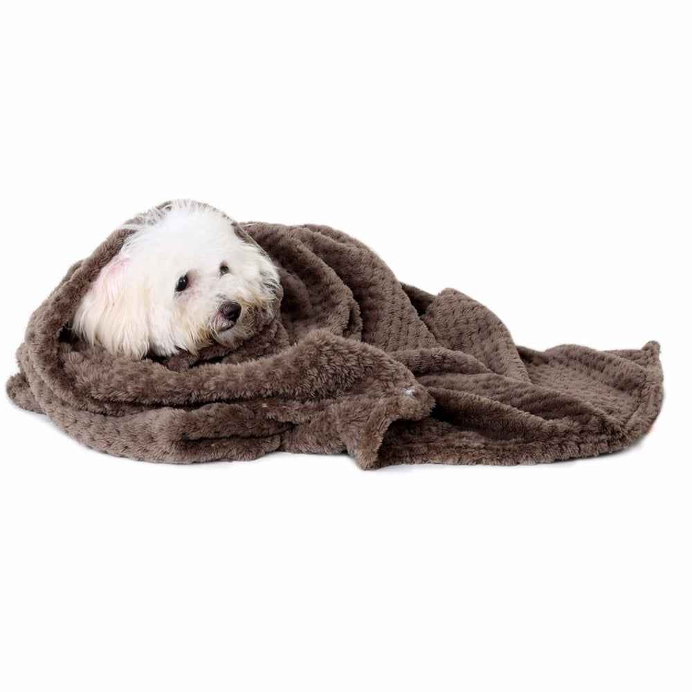 Cozy Coral Fleece Pet Blanket