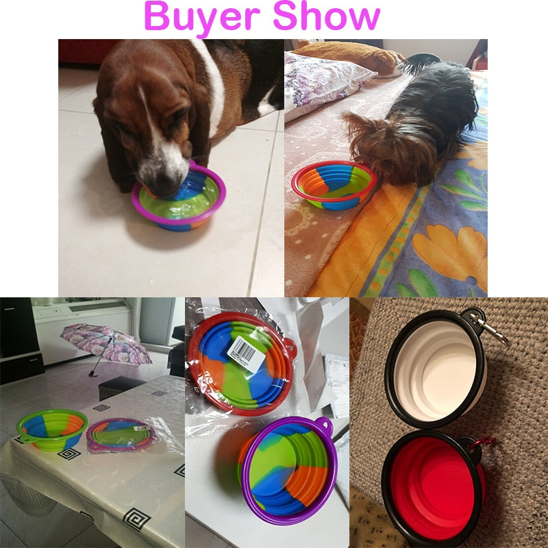 Collapsible Silicone Travel Bowl for Dogs