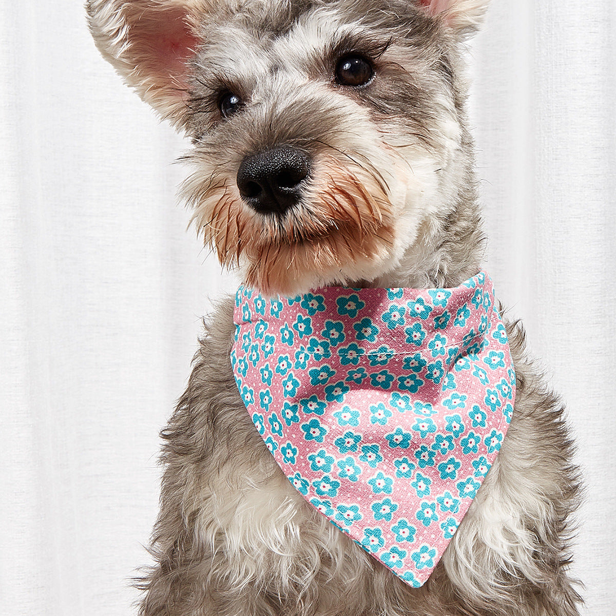 Cartoon Print Triangle Bandana Bib