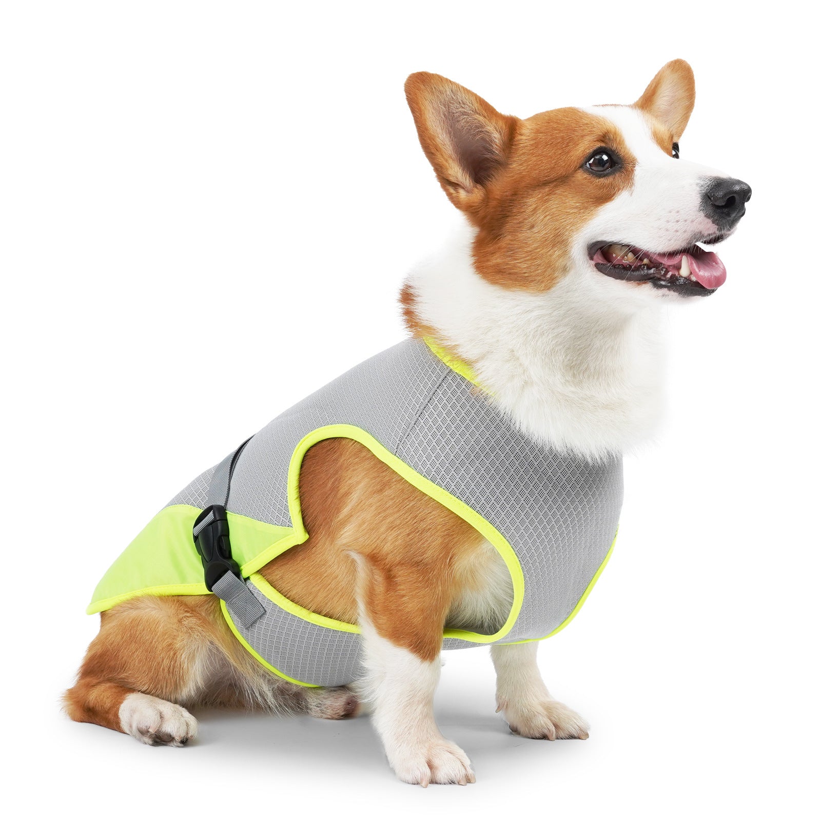 Cooling Vest for Dogs