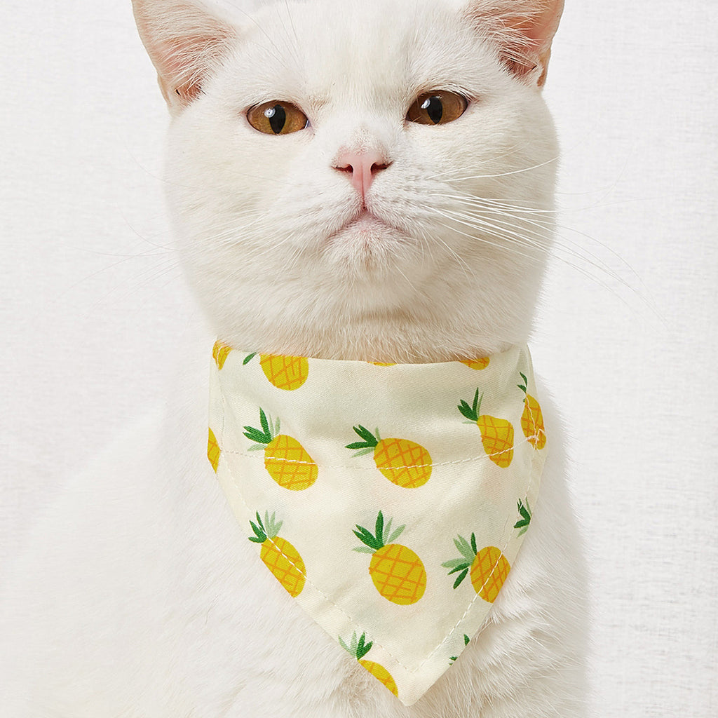 Cartoon Print Triangle Bandana Bib