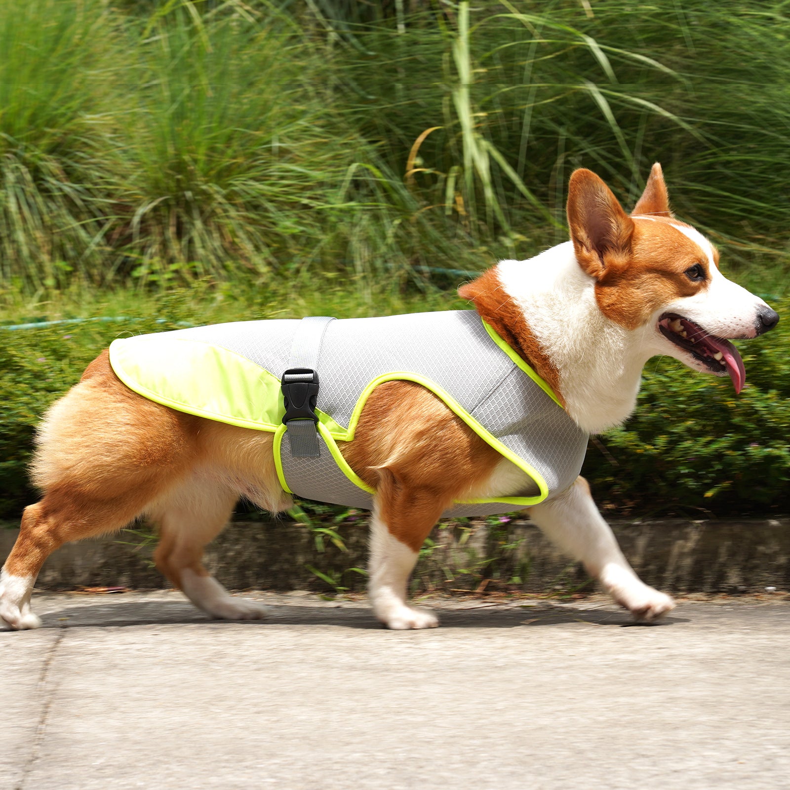 Cooling Vest for Dogs