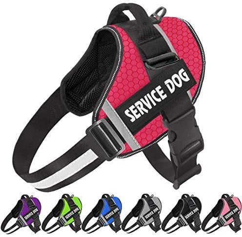 Reflective Pet Chest Harness