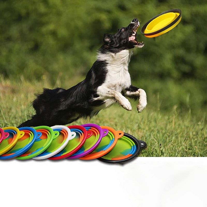 Collapsible Silicone Travel Bowl for Dogs