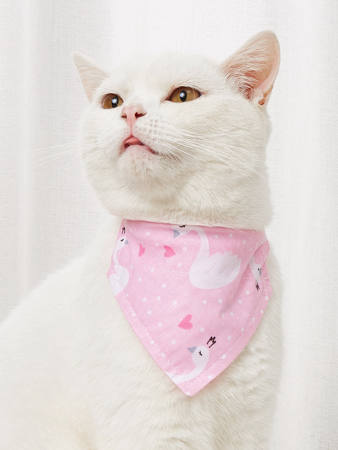 Cartoon Print Triangle Bandana Bib