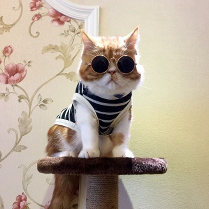 Retro Round Sunglasses for Cats &amp; Small Dogs