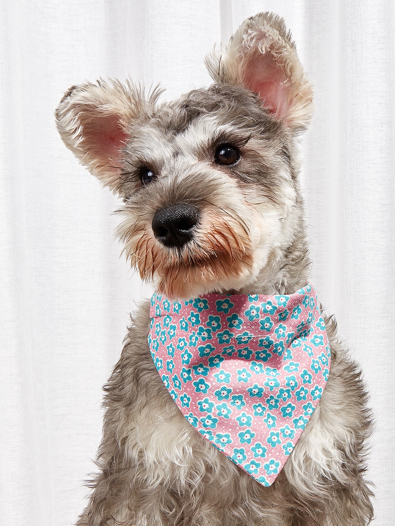 Cartoon Print Triangle Bandana Bib