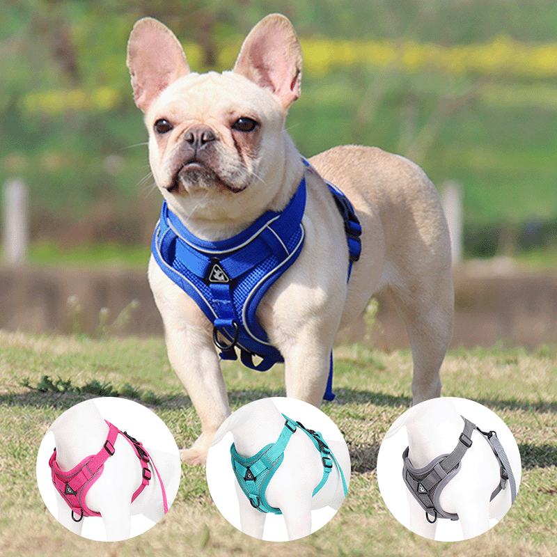 Reflective Vest-Style Dog Harness with Leash