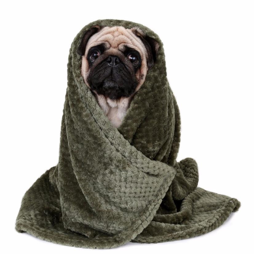 Cozy Coral Fleece Pet Blanket