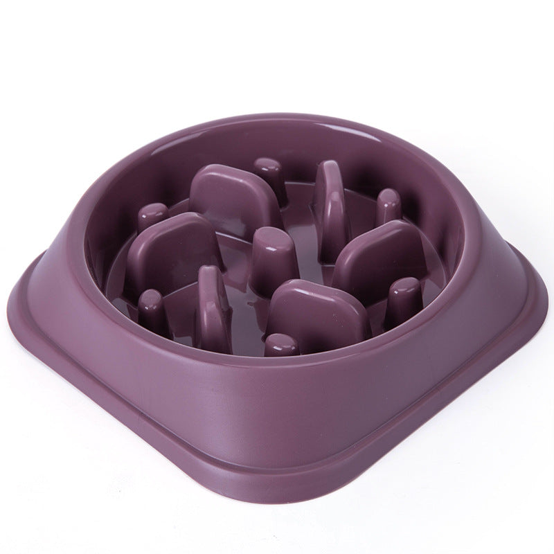 Anti-Overturn Slow Feed Dog Bowl